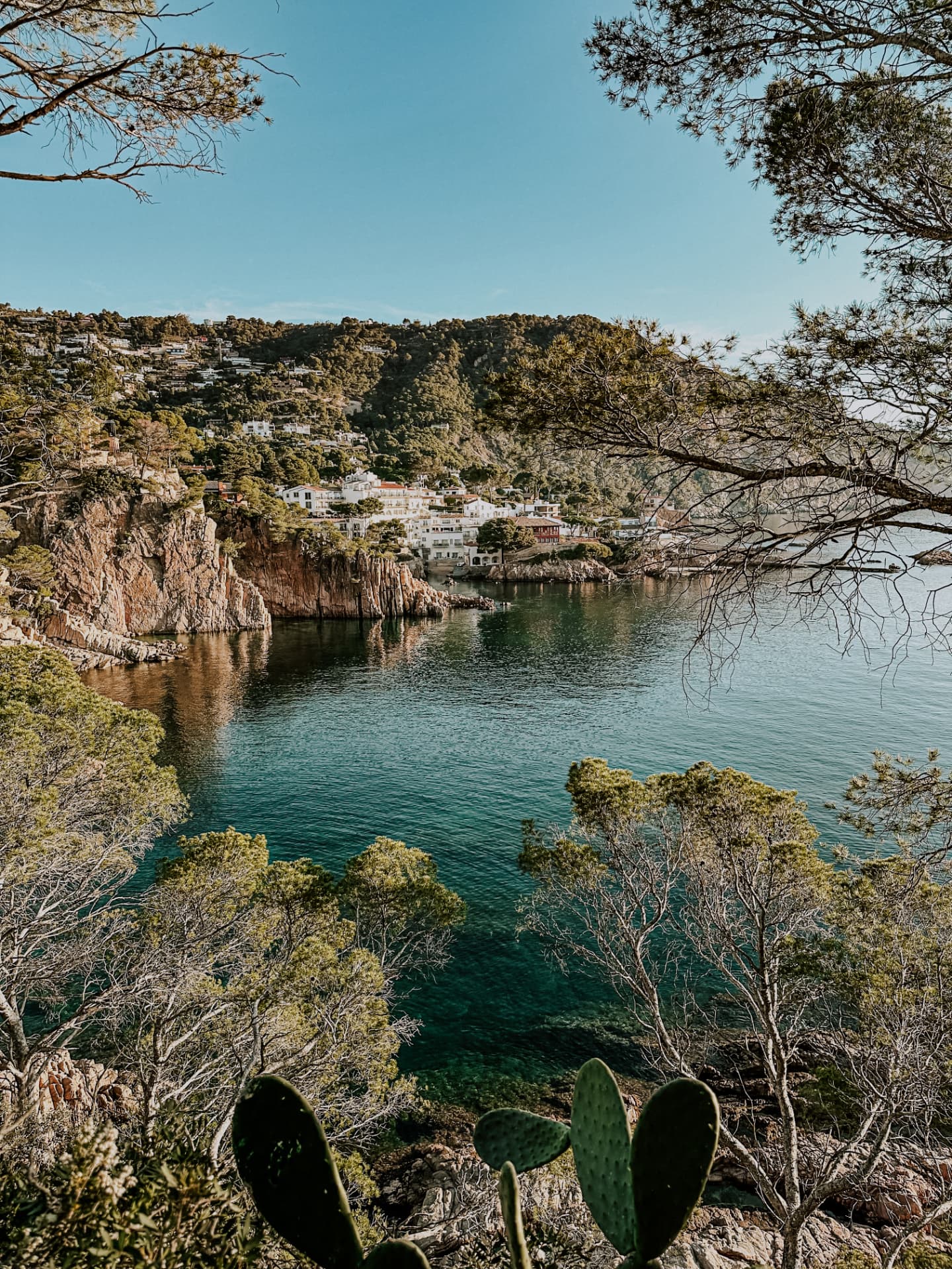 Turquoise cove framed by pine trees and rocky cliffs on the Costa Brava